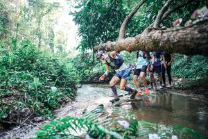 BIB: 
                            <button type="button" onclick="openModal(25459960)" class="btn btn-primary btn-sm float-right btn-popup" data-toggle="modal" data-target=".modal-high-quality">
                        <i class="fas fa-shopping-cart"></i> Add to Cart
                    </button>
                                            <button type="button" onclick="isThisMe(25459960, true)" class="btn btn-success btn-sm float-right btn-popup btn-isme hidden" data-toggle="tooltip" data-placement="bottom" title="นี่คือรูปของคุณใช่ไหม คลิกที่นี่เพื่อเอาเข้าอัลบั้ม">
                        <i class="fas fa-plus"></i> Add to album
                    </button>
                    <button type="button" onclick="isThisMe(25459960, false)" class="btn btn-warning btn-sm float-right btn-popup btn-isnotme hidden">
                        <i class="fas fa-ban"></i> Remove from album
                    </button>